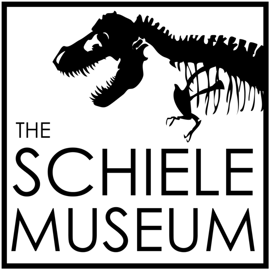 SchielePromotionalLogo-new